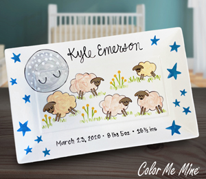 Mesa Color Me Mine Baby Announcement