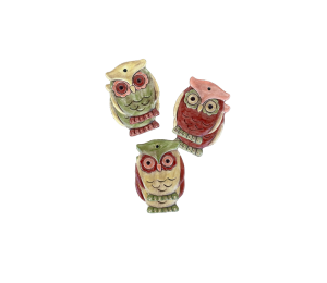 Mesa Color Me Mine Owl Ornaments