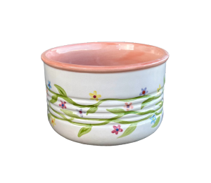 Mesa Color Me Mine Vine & Flower Planter