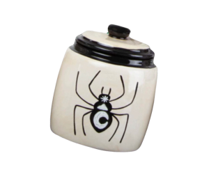 Mesa Color Me Mine Celestial Spider Jar